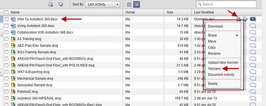 Actions sub-menu showing Versions function.